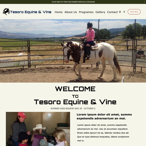 Tesoro Equine & Vine