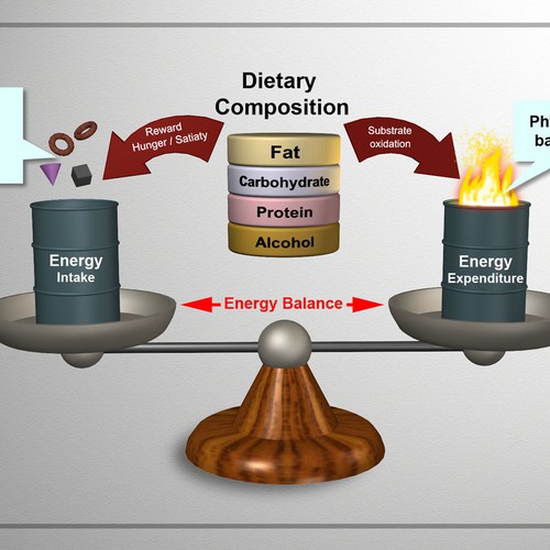 Presentation Diagram