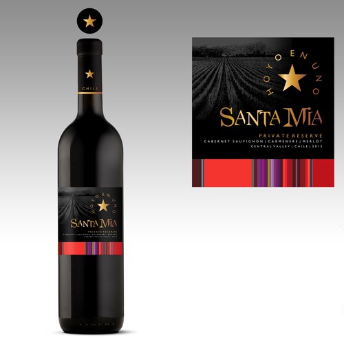 Design a contemporary new look and feel for popular Chilean wine brand!