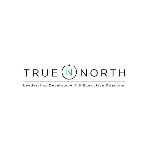 Minimalist arrow logo for true north