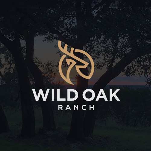 Modern-rustic family ranch logo needed
