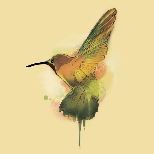 Hummingbird Illustration