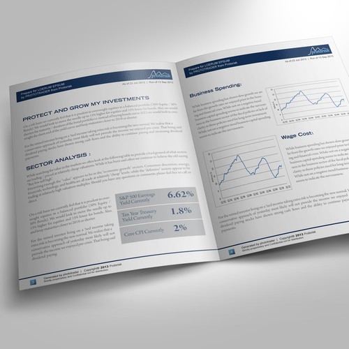 Protorisk needs a new business report template