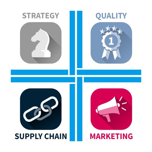 Graphical representation of the PLUS concept for developing markets