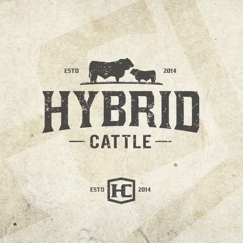HYBRID CATTLE