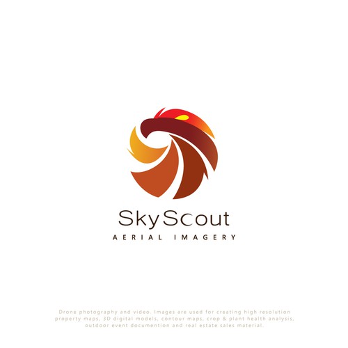 SkyScout