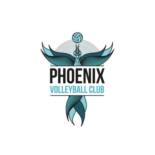 Logo for Volleyball Club 