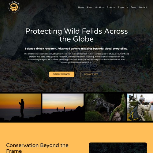 Wild Felid Site Redesign