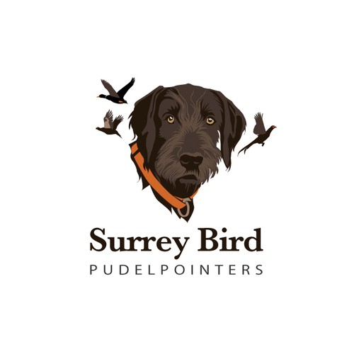 Surrey Bird Pudelpointers