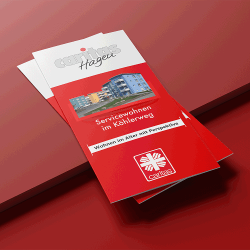 Trifold Flyer Design