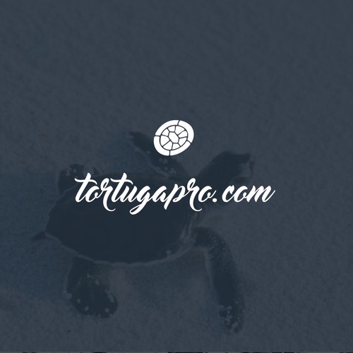 Logo concept for TortugaPro.com