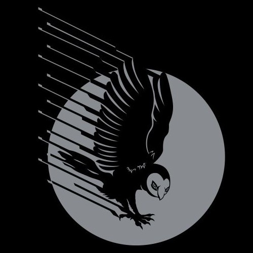 owl shadow