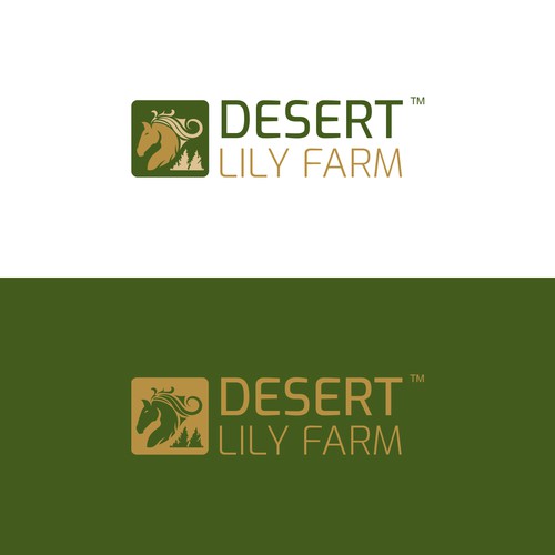 Logo concept for Desert Lily Farm