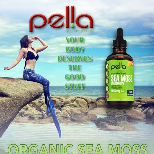 Pella Sea Moss Infographic
