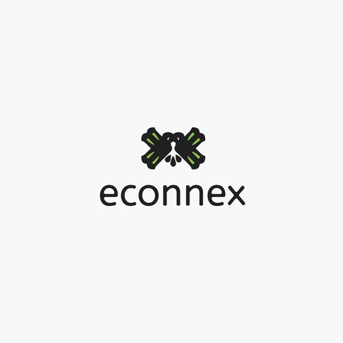 Logo design for econnex