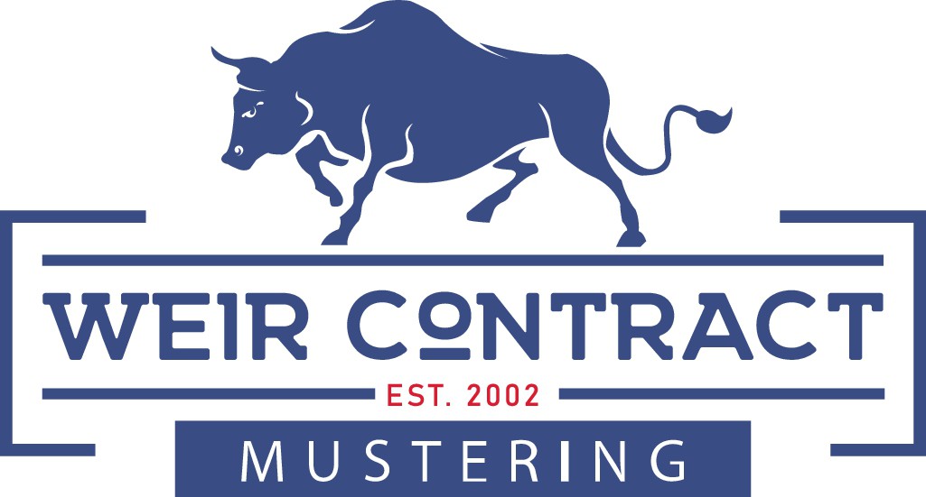 This kick ass bull catching team requires a kick ass new logo!