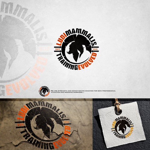 Strength and Conditioning business looking for a gladiator style logo.