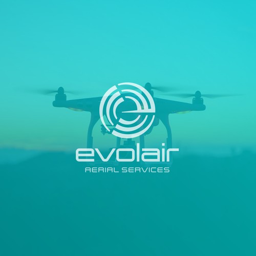 Letter E Aerial Logo
