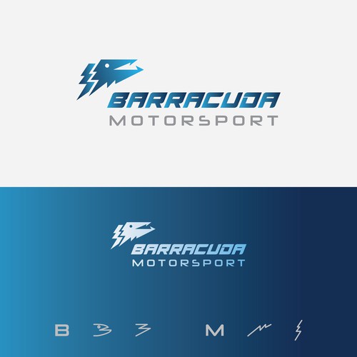 Barracuda Motorsport