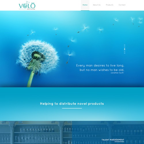 Website design for Volo Healthcare