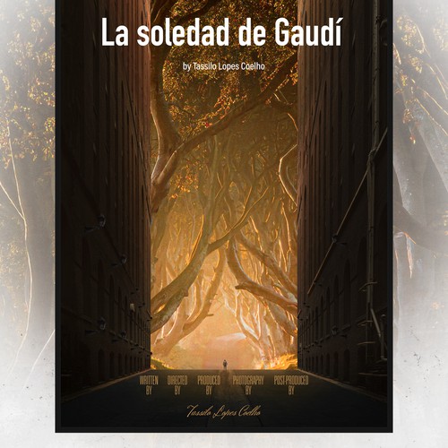La soledad de Gaudi - Documentary Film Poster Design