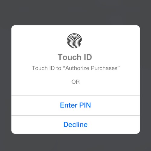 PIN Pad Entry to Authorize a Payment (2 simple screens)