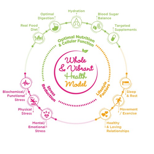 Health Model Graphic