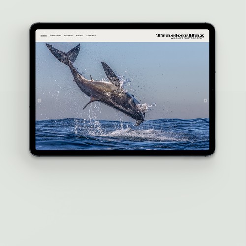 Wildlife Photographer TrackerBaz. Sweden.