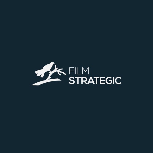 Film Strategic