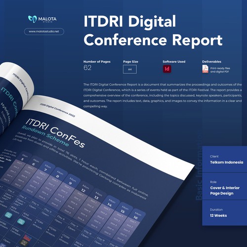 ITDRI Digital Conference Report Document