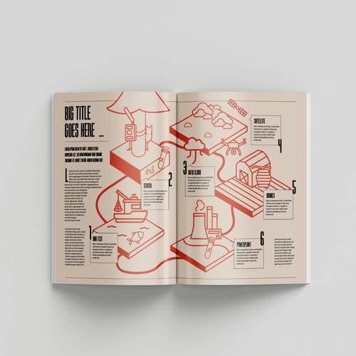 Infographic Entry