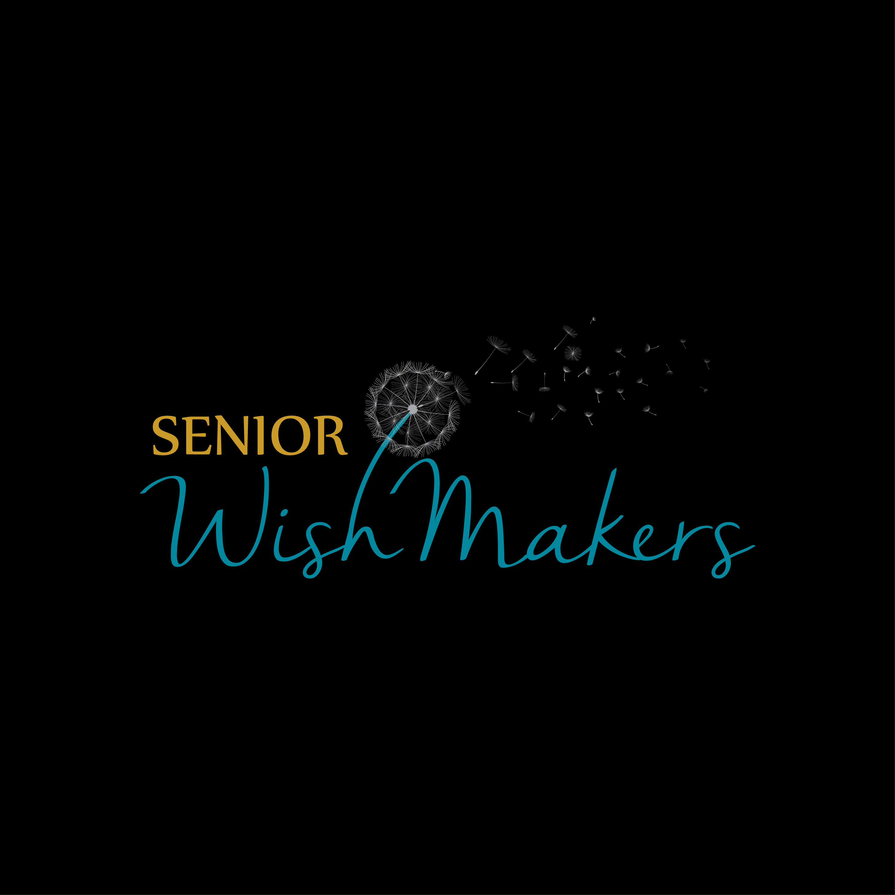 design a logo for a make a wish non profit for seniors and veterans.