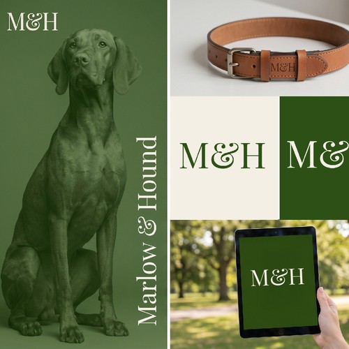 Premium British Dog Accessories Brand