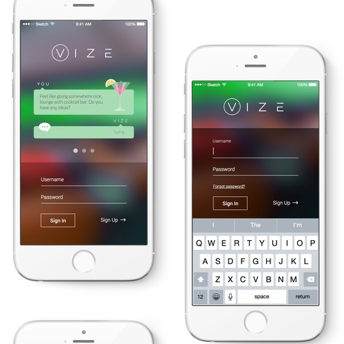 VIZE App Design