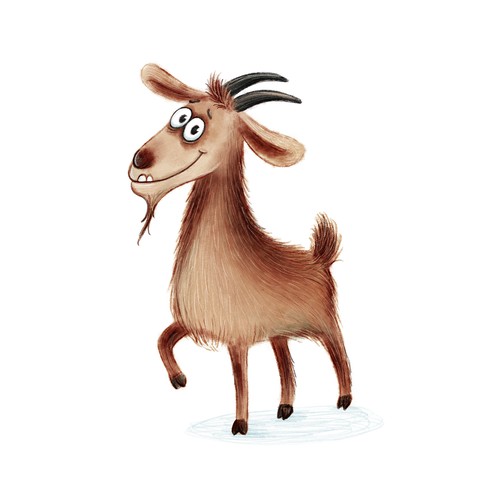 cute Goat :)