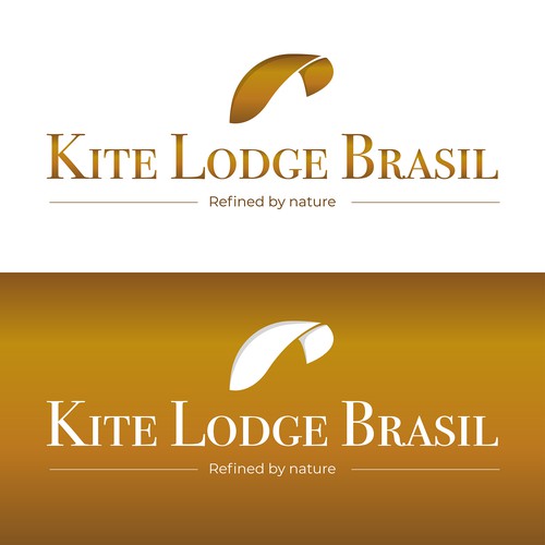 Logo concept for kite lovers hostel 