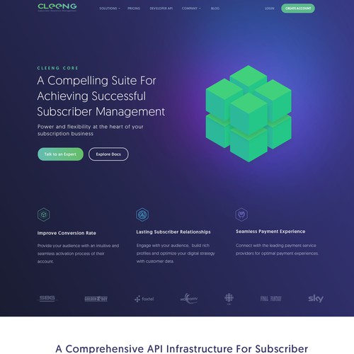 Website design for saas company 