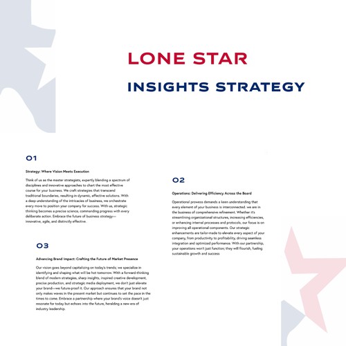 Lone Star Insights Strategy