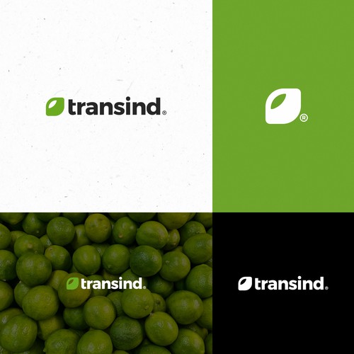 Transind Logo Design