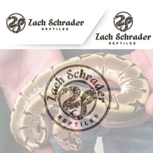 Snake Company Logo
