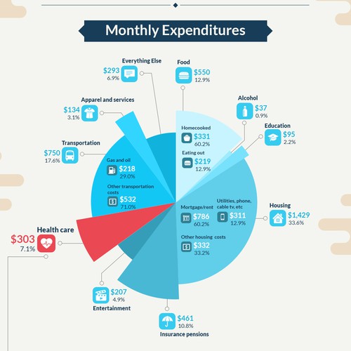 How do people spend their money? Create an eye-catching infographic for a Healthcare company