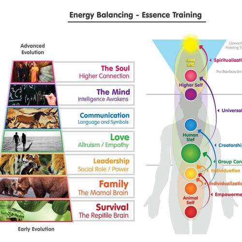 Chakra - Infographics