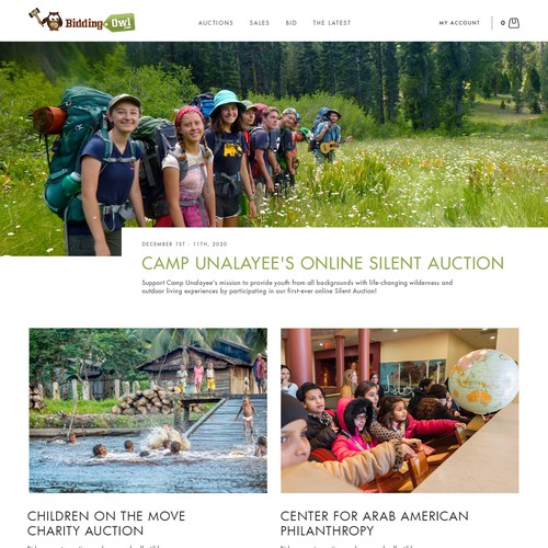Leading Charity Auction Management Website looking for redesign