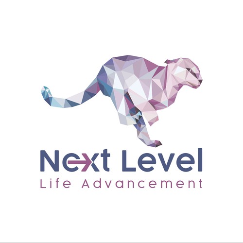 Geometric logo for next level consultant