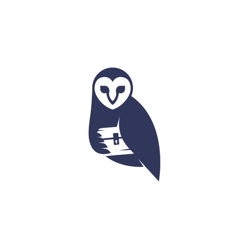 logo concept for Treasure Hunting Company - Owl