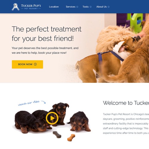 Pet Resort Website Redesign