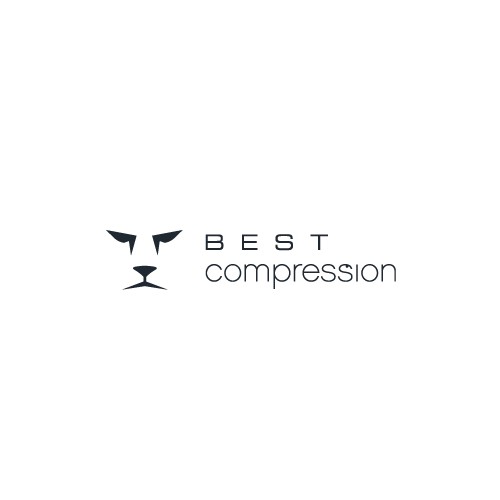 Create the next logo for Best Compression