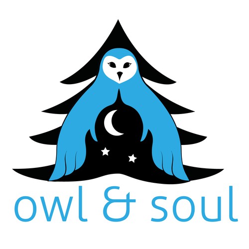 owl and soul logo