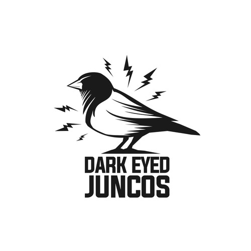 Dark Eyed Juncos