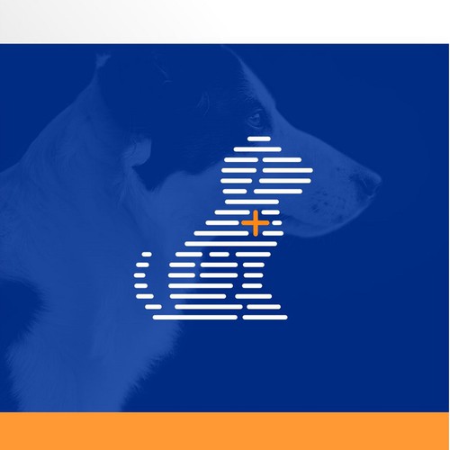 dog health
